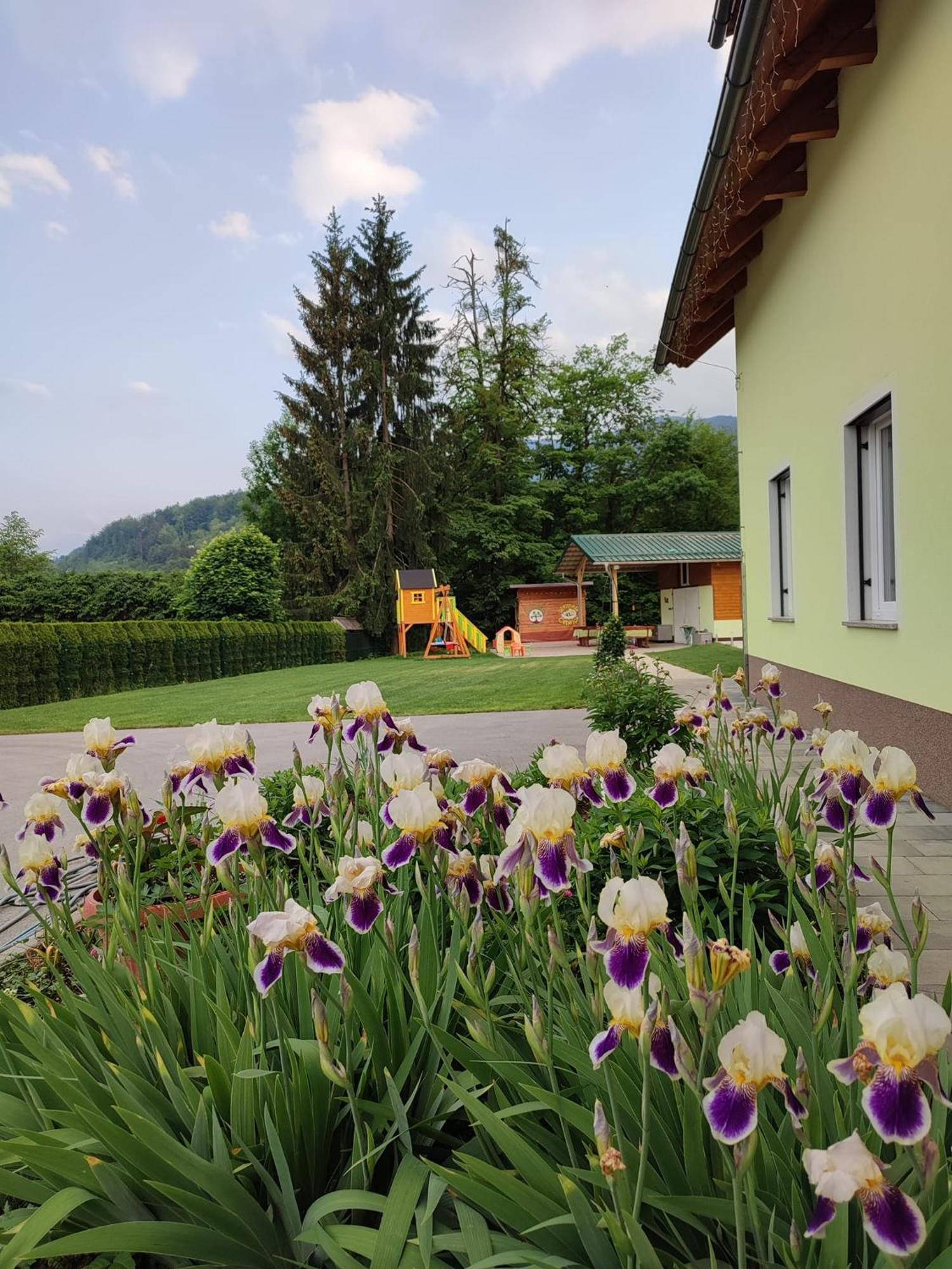 Apartments And Wellness Jelovca Radovljica Exteriér fotografie